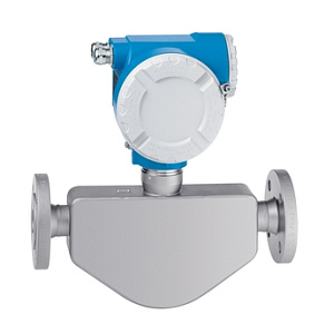 Кориолисовый массовый расходомер LPGmass 8FE15 Endress+Hauser